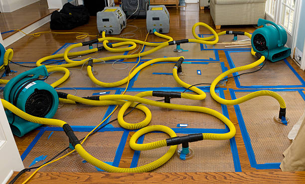 Professional Structural Drying And Dehumidification technician working in Evansville, WY